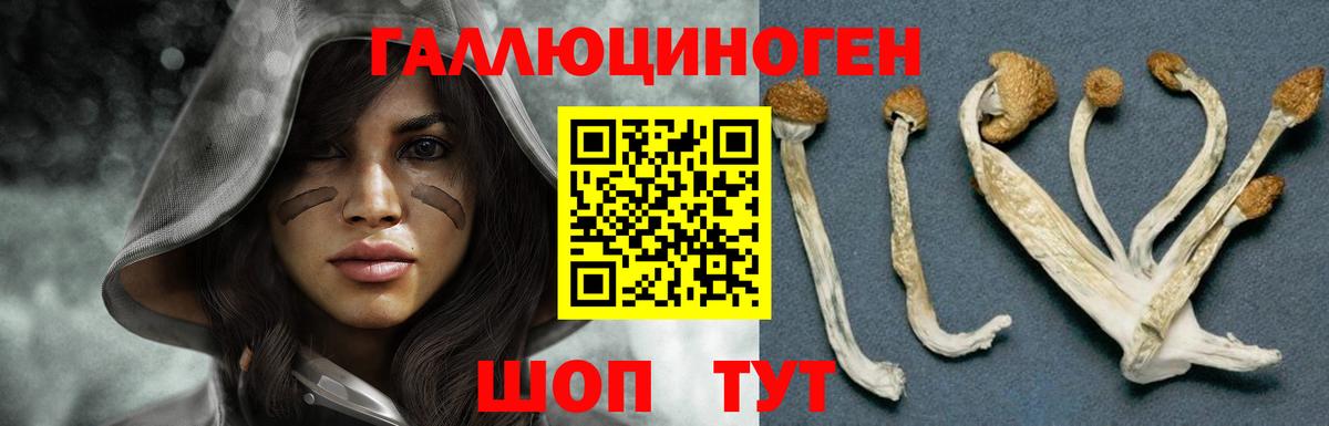 Галлюциногенные грибы Psilocybe  Вход с VPN  Славянск-на-Кубани 